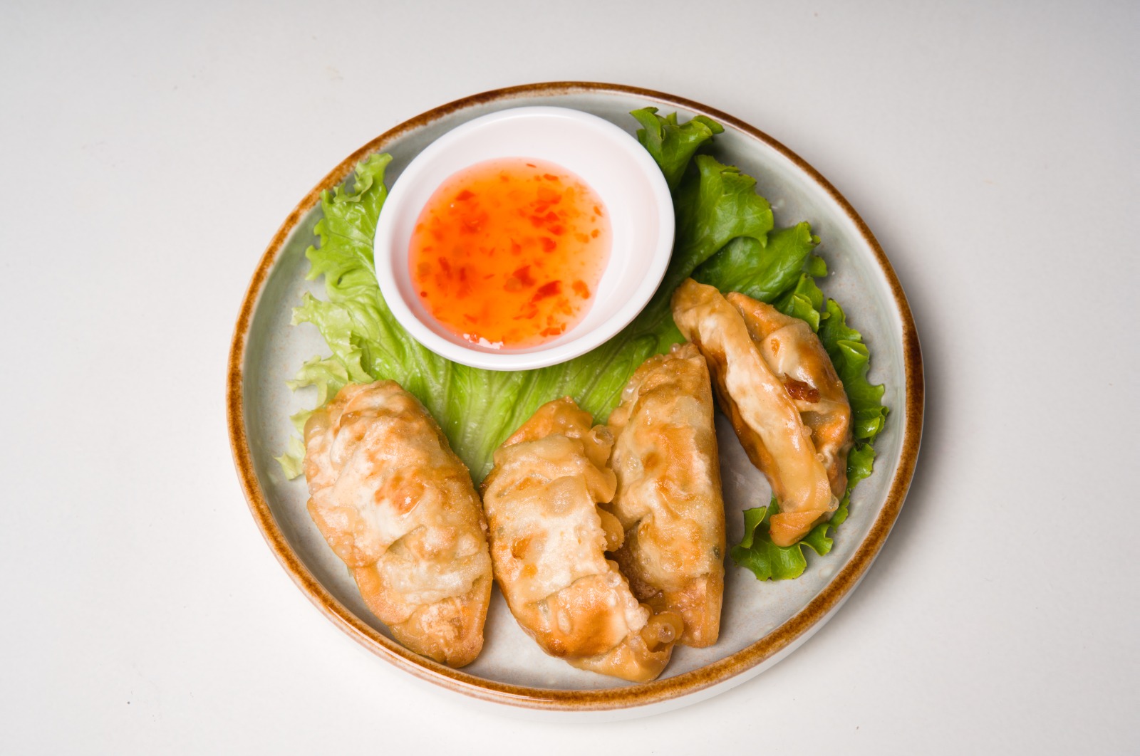 Gyoza aux légumes & Poulet (4p) 